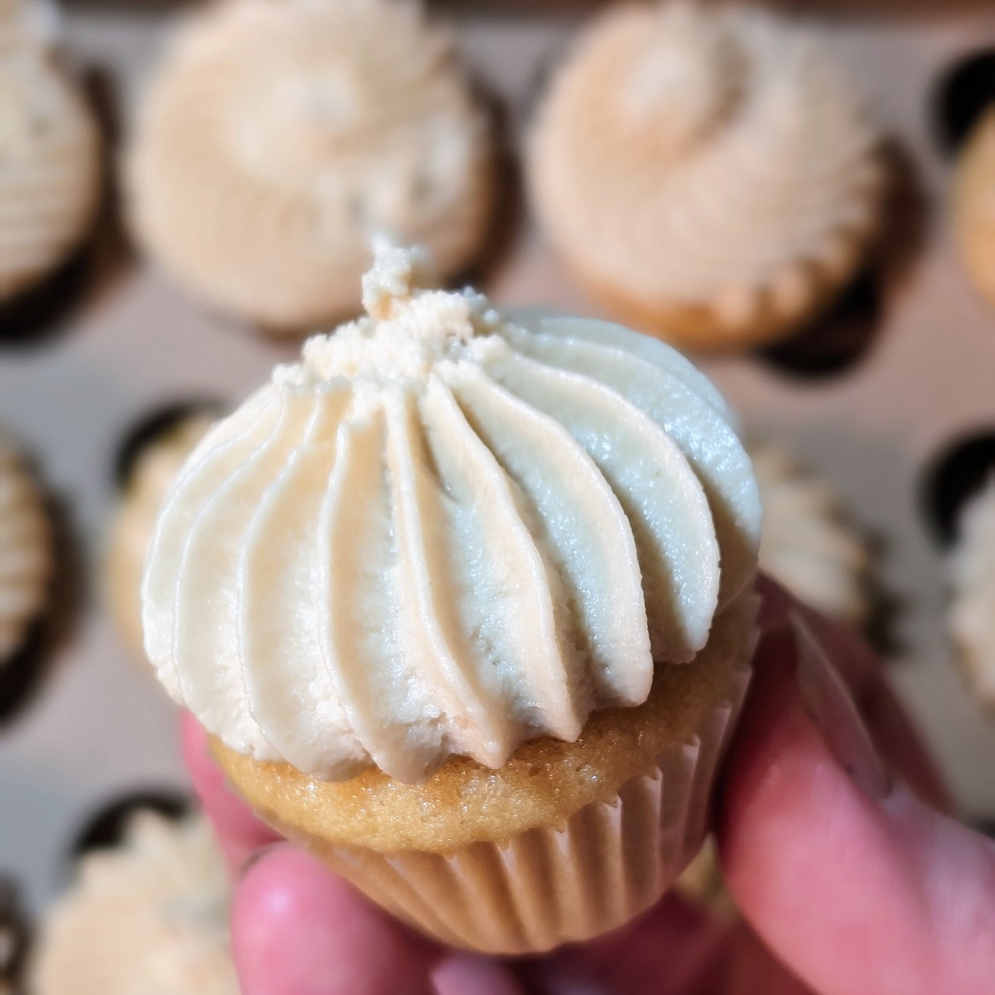 Apple Cupcakes with Maple Frosting / Week of Sept 21