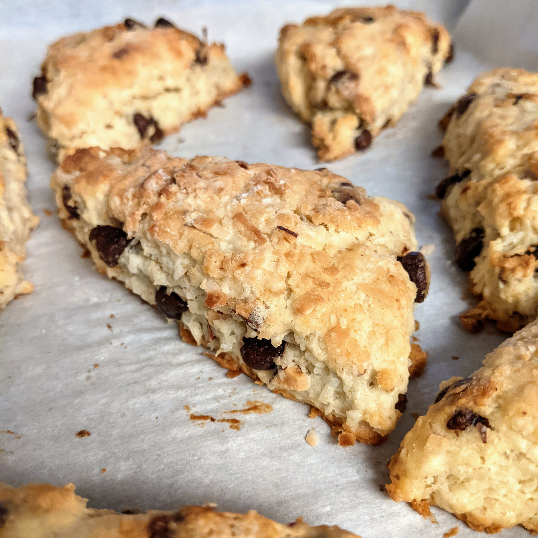Bake Coconut Almond Chocolate Scones