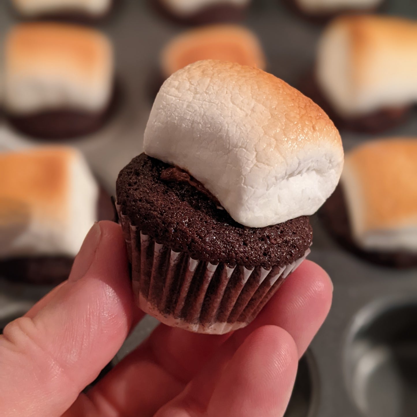 Dozen S'mores Cupcakes/ Week of Sept 28