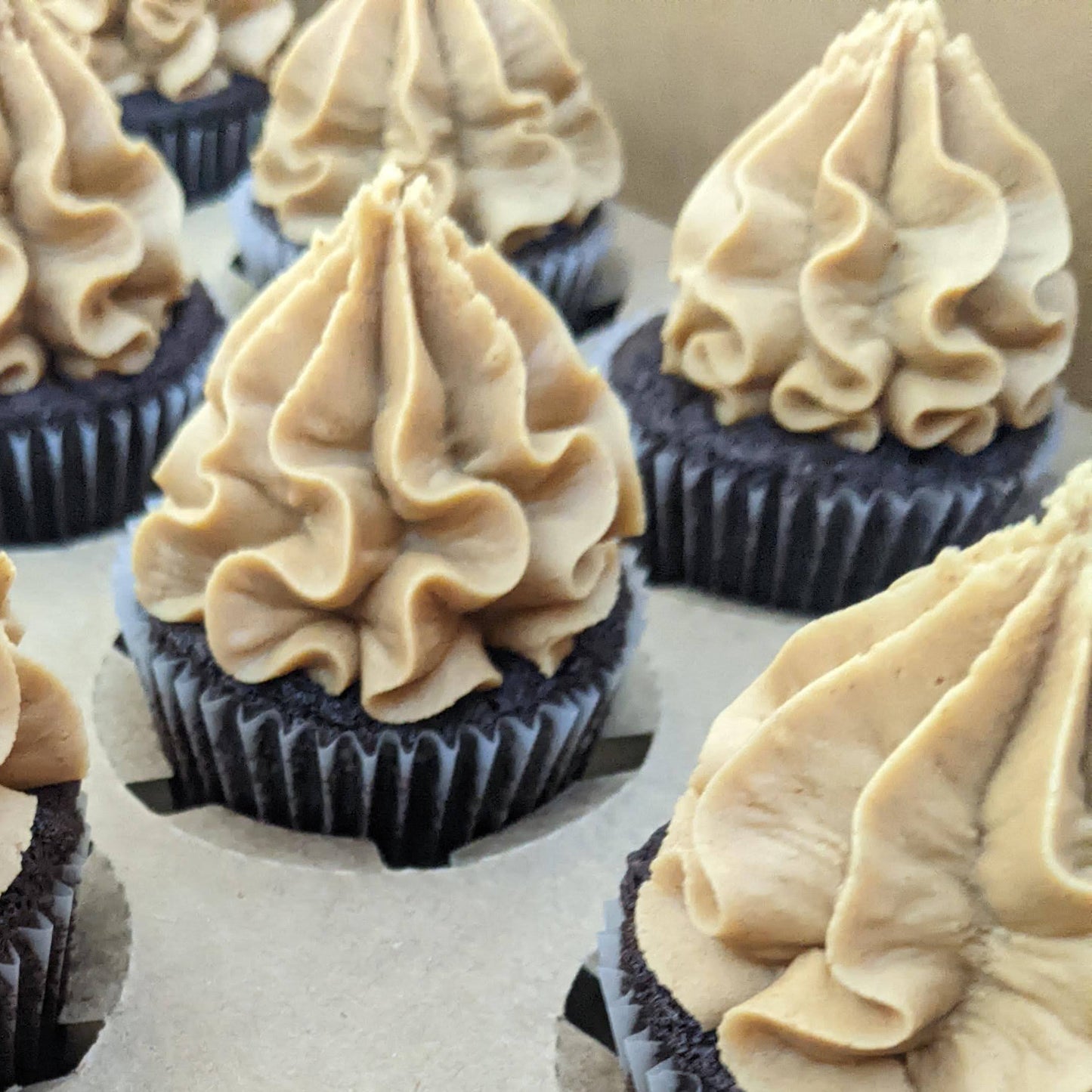 Peanut Butter and Chocolate Cupcakes / Week of Sept 14