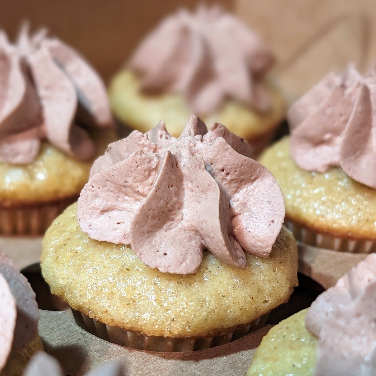 Cardamom Cupcakes / June 22, 26