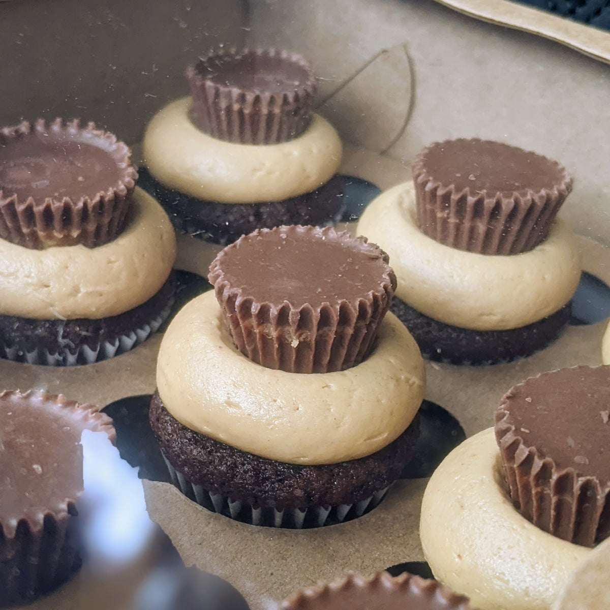 Peanut Butter Cup Cupcake / Week of Oct 19