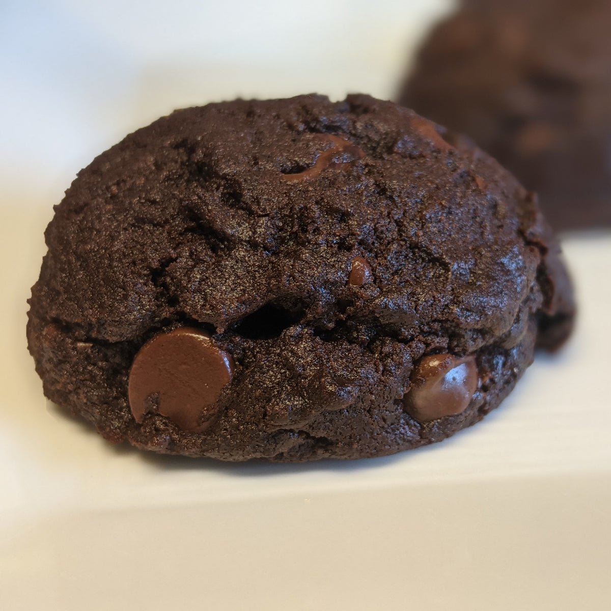 close up of a double chocolate chip cookie on a white plate